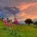 Esmat Mustafa - Facebook