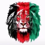 Esmat Safi - @zubairsafi3367 - Instagram