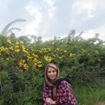 esmat safikhani - @safikhani_esmat - Instagram