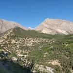 Esmatsalimikoochi - @esmatsalimikoochi - Instagram
