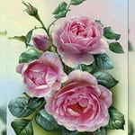 عصمت شعبانی - @esmat.shaabani - Instagram