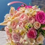 Esmaat Shabaan - Facebook