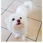 Esme Bailey - Facebook