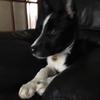 Esme_bailey - @esme_bailey - TikTok