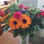 Esme Baxter - Facebook