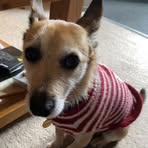 Esme Bell - Facebook