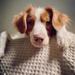 Esmé Carpenter - @everydaywith_esme - Instagram