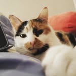 Esme Chen - @demoo062 - Instagram