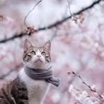 EsmeChen - @chen_esme - Instagram