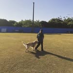 EsmeChen - @esmehgh - Instagram