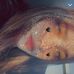 Esme Clark - Facebook