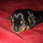Esme Clarke - @clarke.esme - Instagram