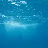 Esme Ford - @esme.ford10 - TikTok