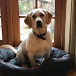 Esme Grant - @grantesme - Instagram
