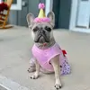 Esme the Frenchie - @esmegrayce - TikTok