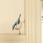 Esme Hall - Facebook