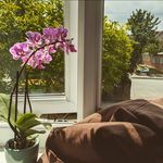 esme :) - @esme_harper1610 - Instagram