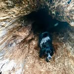 Carl Wright - @esmehenry88 - Instagram