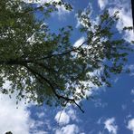 Esme Johnston - Facebook