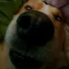 esmé - @esmeking_11 - TikTok