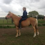 esme lee - @esmel.equine - Instagram