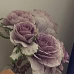 Esme Lowe  - Facebook