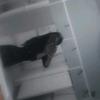 Esme marquez - @esme.marquez22 - TikTok