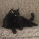 esme nelson - @esmeesmeesmeesmeesmeesmeesme - Instagram