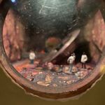 Esme Phillips - @esme.crabs - Instagram