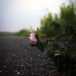 esme phillips - @esmepphotography - Instagram