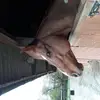 Esmé Phillips - @esm.phillips - TikTok