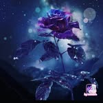 esme rocha - @esme_rocha1996 - Instagram