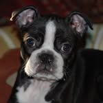 Esmé Schmidt - @esme.schmidt - Instagram