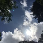 @esmethomson_photography - Instagram