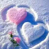 ★🦋🌺🦋♥︎Vásquez Esme♥︎🦋🌺🦋★ - @esmevasquez6974 - TikTok