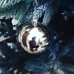Esme Walker - @esme.walker.3388 - Instagram