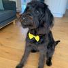 esmae.weeks - @esmae.weeks - TikTok