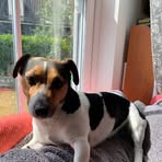 Esme West - Facebook
