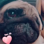 Esme westmoreland - @esmewestmoreland - Instagram