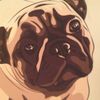 esme white - @pug_lover_678 - TikTok