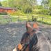 Esme Wright - Facebook
