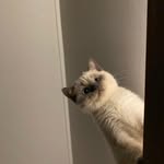 esme - @esmeyang0924 - Instagram