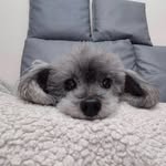 Esme Yang - @esme_yang - Instagram