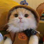 Esme Yang - Facebook