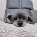 Esme Yang - Facebook