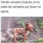 esmelopez - @esmee.lopez__ - Instagram