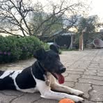 Esmee Morris-Thuriot - Facebook