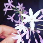 Esmelda Ramirez - @esmeldaramirez - Instagram