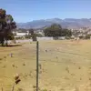 Esmer Lopez - @esmer.lopez6 - TikTok