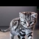 Esmeralda Duque - @duque6268 - Instagram